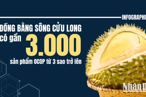 [Infographic] Đồng bằng sông Cửu Long có gần 3.000 sản phẩm OCOP