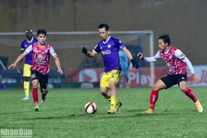 Lịch thi đấu V-League vòng 11: Hà Nội chạm trán Nam Định