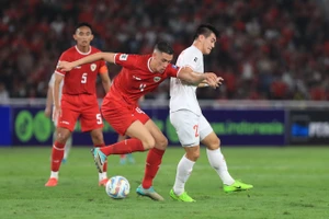 Đội tuyển Việt Nam liên tiếp nhận kết quả thua khiến người hâm mộ không hài lòng. 