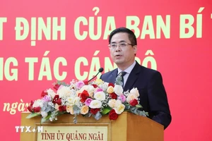 Ông Nguyễn Hoàng Giang được phê chuẩn giữ chức Chủ tịch Ủy ban Nhân dân tỉnh Quảng Ngãi. (Ảnh: Phạm Cường/TTXVN)