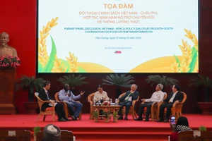 Các đại biểu dự Tọa đàm Đối thoại chính sách Việt Nam-châu Phi: Hợp tác Nam-Nam hỗ trợ chuyển đổi hệ thống lương thực. Ảnh: HỒNG THÁI
