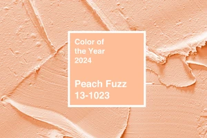 Peach Fuzz - mầu của năm 2024 do PANTONE lựa chọn và công bố. 
