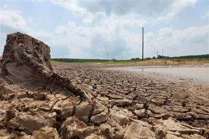 Hạn hán khốc liệt đang xảy ra ở nhiều địa bàn tỉnh Đắk Lắk. Ảnh: TTXVN