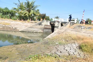 Nguồn nước tại cống tiếp nước Bình Phan, huyện Chợ Gạo (Tiền Giang) gần như cạn khô.