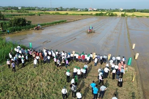 Tỉnh Tiền Giang triển khai đề án.