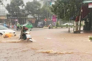 Do mưa lớn, nhiều địa phương trên địa bàn tỉnh Gia Lai bị ngập lụt, khiến việc đi lại của các phương tiện và người dân khó khăn.