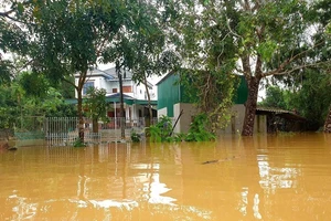 Nghệ An: Nhiều vùng trũng thấp huyện Thanh Chương bị ngập sâu