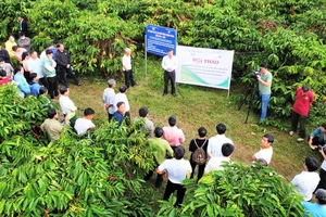 Tham quan mô hình sản xuất cà phê hữu cơ có truy xuất nguồn gốc và liên kết theo chuỗi giá trị tại Hợp tác xã nông nghiệp Công bằng Thanh Thái, xã Nâm Nung.