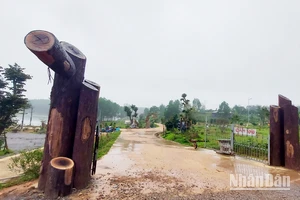 Lối cổng dẫn vào Khu giáo dục trải nghiệm Trưng Vương Garden và hệ thống đường bê-tông trong khuôn viên rất rộng lớn.