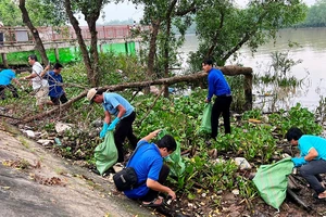 Lực lượng đoàn viên, thanh niên, người lao động tích cực tham gia hoạt động vớt rác ven sông Bến Tre.