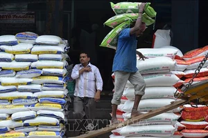 Công nhân vận chuyển gạo tại khu chợ ở Bangalore, Ấn Độ. (Ảnh tư liệu: AFP/TTXVN)
