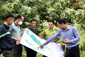 Kiểm tra, xác minh diện tích để chi trả tiền dịch vụ môi trường rừng cho các chủ rừng trên địa bàn tỉnh Ðiện Biên. (Ảnh Lê Huyền) 