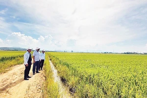 Chậm thực hiện thủ tục, hồ sơ ảnh hưởng đến hiệu quả công tác dồn điền đổi thửa và đời sống dân sinh tại Quảng Ngãi. 