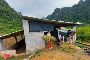 Hộ cận nghèo ở xã Quang Long (huyện Hạ Lang) xây dựng chuồng trại, phát triển chăn nuôi từ nguồn vốn chính sách.