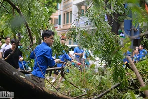 Đoàn viên, thanh niên quận Hoàn Kiếm tình nguyện hỗ trợ lực lượng chức năng khắc phục hậu quả của cơn bão số 3 (bão Yagi).