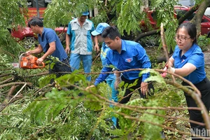 Đoàn viên, thanh niên thành phố Hà Nội tình nguyện hỗ trợ lực lượng chức năng khắc phục hậu quả của cơn bão số 3.