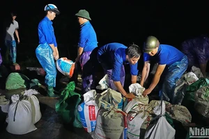 Đoàn viên, thanh niên tình nguyện Thủ đô xung kích chống ngập lụt do ảnh hưởng của cơn bão số 3 tại huyện Thường Tín (Hà Nội).