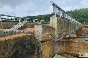Vết nứt Hồ chứa nước Đắk N’Ting làm dịch chuyển cầu tràn về phía đập đất lên 63cm, gây mất ổn định công trình, an toàn đập và vùng hạ du.
