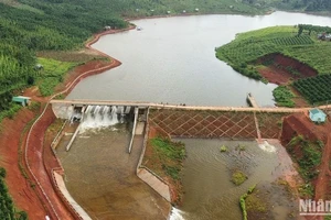 Hồ chứa nước Đắk N’Ting hiện đang xảy ra sự cố có nguy cơ cao vỡ đập, làm ảnh hưởng đến đời sống và tài sản của hàng chục hộ dân vùng hạ lưu.