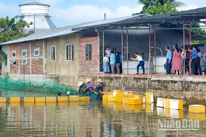 Đoàn giám sát của Tỉnh uỷ Vĩnh Long tham quan mô hình sản xuất cá linh tại xã Mỹ Phước, huyện Mang Thít, tỉnh Vĩnh Long. 