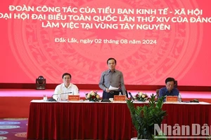 Phó Thủ tướng Trần Lưu Quang phát biểu tại buổi làm việc.