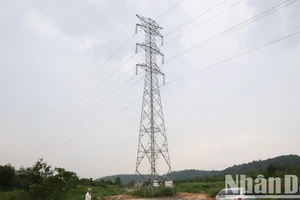 Do bị chồng lấn nên trụ điện T20 của Dự án Trạm biến áp 220kV Krông Ana được xây dựng trên đường Hồ Chí Minh đoạn tránh phía đông thành phố Buôn Ma Thuột.