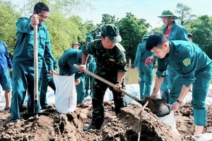 Các huyện chuẩn bị nhân lực, vật tư, phương tiện bảo vệ đê điều. 