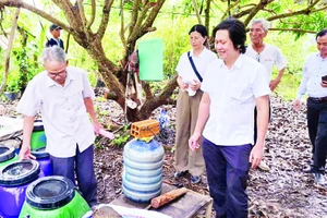 Các chuyên gia tham quan hộ nông dân trồng nhãn huyện Châu Thành áp dụng mô hình IMO.