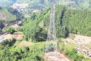 Nhiều hộ dân nhường đất để các nhà thầu đẩy nhanh thi công dự án đường dây 500 kV Lào Cai-Vĩnh Yên đoạn qua tỉnh Lào Cai.