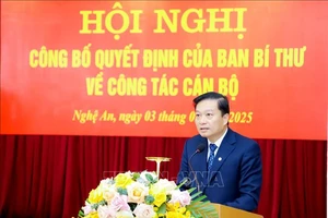 Chủ tịch UBND tỉnh Nghệ An Lê Hồng Vinh. Ảnh: Trịnh Duy Hưng/TTXVN