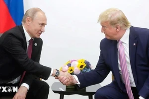 Tổng thống Nga Vladimir Putin (trái) và người đồng cấp Mỹ Donald Trump trong cuộc gặp bên lề Hội nghị thượng đỉnh G20 tại Osaka, Nhật Bản ngày 28/6/2019. (Ảnh: AA/TTXVN)