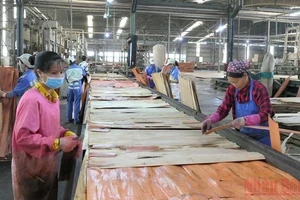 Nhà máy lâm nghiệp xuất nhập khẩu công nghiệp Hà Giang đẩy mạnh sản xuất sau đại dịch Covid-19.