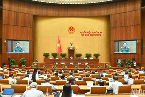 Cán bộ, công chức, viên chức Nhà nước có thể tham gia lực lượng gìn giữ hòa bình 