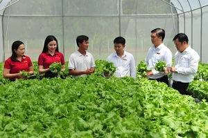 Agribank nâng quy mô gói tín dụng cho vay nông, lâm, thủy sản lên 20.000 tỷ đồng. 