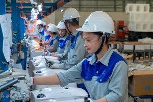 Trong năm 2024, chỉ tiêu tăng năng suất lao động đã vượt kế hoạch đề ra, sau ba năm không đạt. (Ảnh Sơn Tùng)