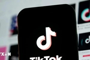 Biểu tượng TikTok trên màn hình điện thoại di động. (Ảnh: THX/TTXVN)