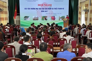 Hội nghị xúc tiến thương mại tiêu thụ sản phẩm vải thiều Thanh Hà.