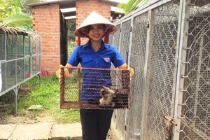 Phan Lê Thúy Vi khoe cặp chồn hương sinh sản. 