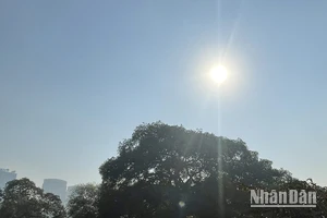 Dự báo Hà Nội có mây, ngày nắng, đêm không mưa. (Ảnh minh họa: ĐT)