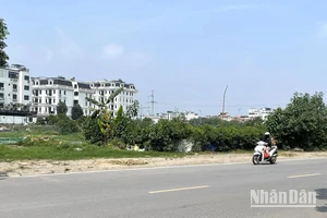 Khu vực Hà Nội, chiều tối và đêm có mưa rào và dông vài nơi; ngày nắng nóng. (Ảnh minh họa: Đ.T)