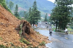 (Ảnh minh họa: TTXVN)