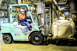 Thị trường thế giới khan hiếm, giá tăng cao, Công ty Trách nhiệm hữu hạn Khai thác chế biến khoáng sản Núi Pháo đẩy mạnh xuất khẩu.