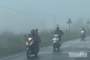Đợt không khí lạnh này nhiệt độ vùng núi cao có nơi dưới 20 độ C và có mưa. (Ảnh minh họa: Đ.T)