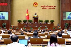 [Video] Nghiên cứu ban hành Luật Hộ kinh doanh