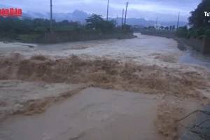[Video] Bộ Nội vụ yêu cầu siết an toàn lao động trong mùa mưa bão