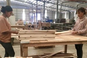 Sản xuất gỗ xuất khẩu tại Công ty Cổ phần TAVICO (Đồng Nai).