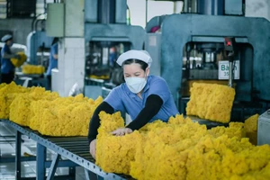 Chế biến cao-su xuất khẩu tại Công ty cổ phần cao-su Phước Hòa, tỉnh Bình Dương. (Ảnh: Đào Phong)