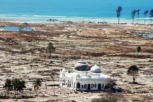 Vùng ven biển Aceh bị tàn phá nặng nề sau trận sóng thần. Ảnh: DW