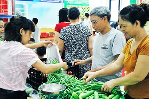 Người dân lựa chọn rau củ quả hữu cơ được giới thiệu tại hội chợ nông sản an toàn. Ảnh: NAM ANH