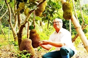 Cựu chiến binh Phạm Đăng Lịch, ở thôn An Thành, thị trấn Lu (Bảo Thắng, Lào Cai).